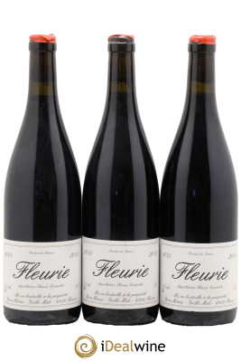 Fleurie Yvon Métras