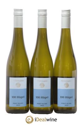 Allemagne Rheinhessen Pinot Blanc 100 Hugel Wittmann
