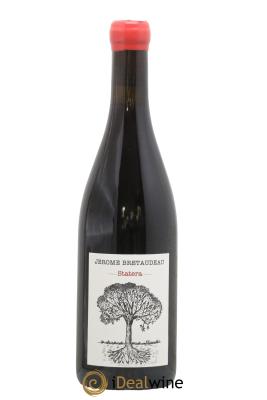 Vin de France Statera Jérôme Bretaudeau - Domaine de Bellevue