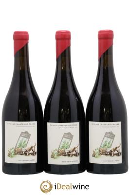 Coteaux Champenois Le Travers des Courtisols Domaine Sacy Sœur et Frere