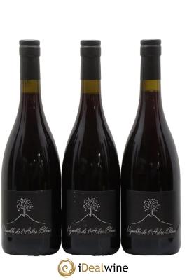 Vin de France Les Petites Orgues Vignoble de l'Arbre Blanc