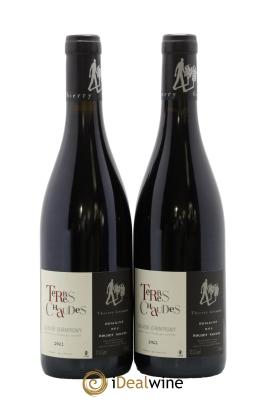 Saumur-Champigny Terres Chaudes Domaine des Roches Neuves - Thierry Germain