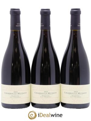 Chambolle-Musigny 1er Cru Les Charmes Amiot-Servelle
