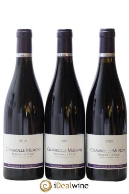 Chambolle-Musigny Derrière le Four Anne et Hervé Sigaut (Domaine)