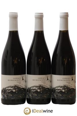 Coteaux Bourguignons Didon (Domaine) 