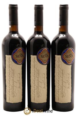 Chili Aconcagua Valley Domaine Sena