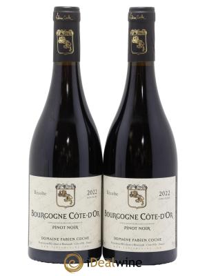 Bourgogne Pinot Noir Coche-Bizouard