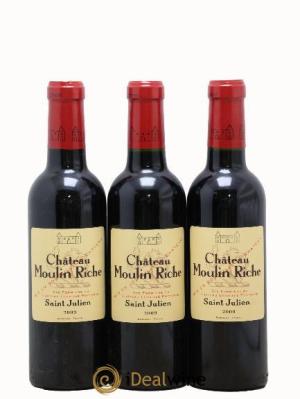 Château Moulin Riche