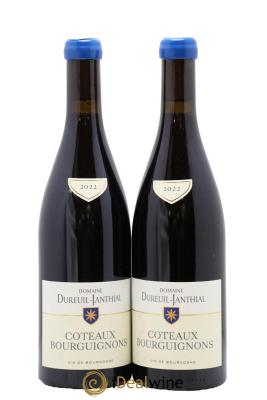 Coteaux Bourguignons Vincent Dureuil-Janthial