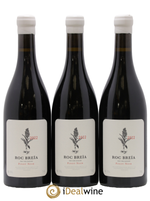 Vin de France Pinot Noir Roc Breïa (Théo Dancer)