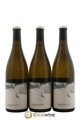 Bourgogne Aligoté En Coulezain Les Horées