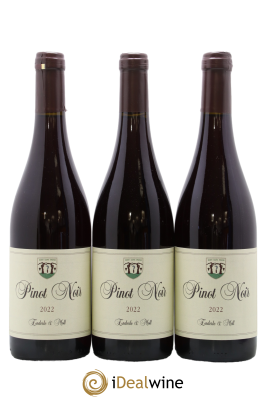 Allemagne Landwein Oberrhein pinot noir Enderle Und Moll