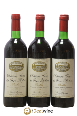 Pauillac Château Tour du Roc Milon