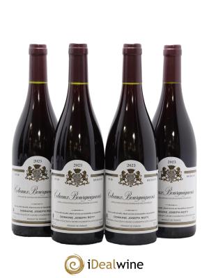 Coteaux Bourguignons Joseph Roty (Domaine)