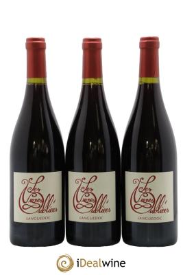Languedoc Les Vignes Oubliées Autour du Cinsault Jean-Baptiste Granier