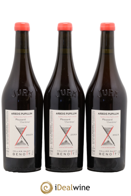 Arbois-Pupillin Ploussard Chambines Cellier Saint Benoît