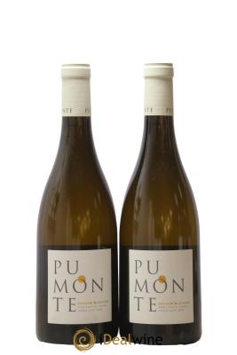 Vin de Corse Calvi Pumonte Domaine Alzipratu