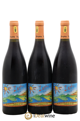 Vin de France Inès Bruno Duchêne