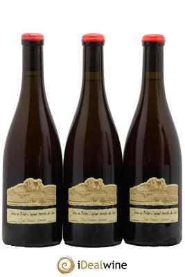 Côtes du Jura Julien en Billat l'enfant terrible du Sud Jean-François Ganevat (Domaine)