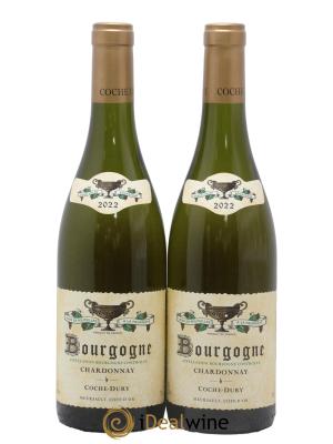 Bourgogne Coche Dury (Domaine)