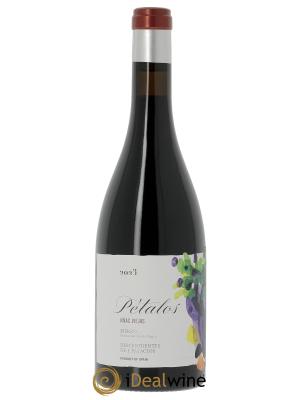 Bierzo DO Descendientes de J. Palacios Petalos