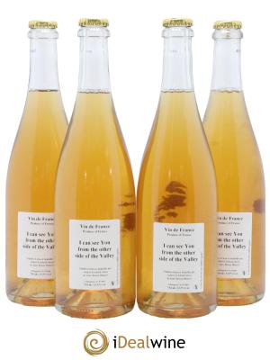 Vin de France I Can See You From The Other Side Of The Valley Anders Frederik Steen