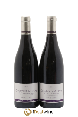 Chambolle-Musigny 1er Cru Les Sentiers Vieilles Vignes Anne et Hervé Sigaut (Domaine)