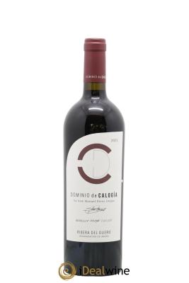 Ribera Del Duero DO Dominio de Calogia
