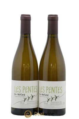 Saumur Les Pentes Clos de l'Ecotard
