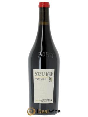 Arbois Sous la Tour Pinot Noir Bénédicte et Stéphane Tissot 