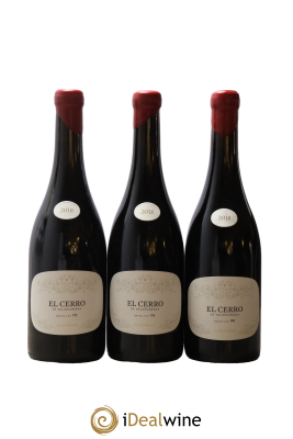 Bierzo DO El Cerro De Valdecana R. Perez