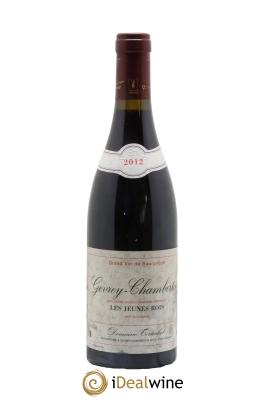 Gevrey-Chambertin Les Jeunes Rois Tortochot (Domaine)
