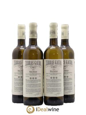 Rias Baixas Albarino Terras Gauda 