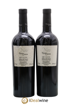 Ribera Del Duero DO Neo Punta Esencia