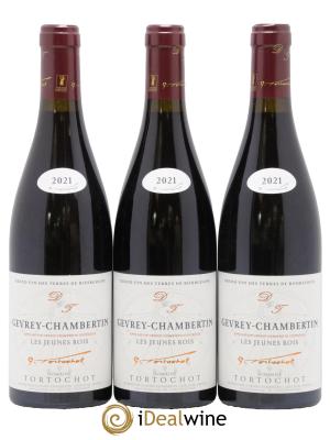 Gevrey-Chambertin Les Jeunes Rois Tortochot (Domaine)