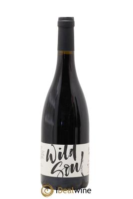 Beaujolais Villages Wild Soul Domaine Julien Sunier