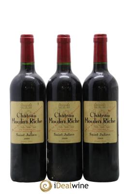 Château Moulin Riche
