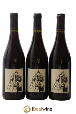 Vin de France Au Bon Secours Les Vignes De Babass