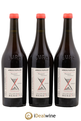 Arbois-Pupillin Ploussard Chambines Cellier Saint Benoît
