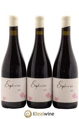 Bourgogne Euphoria Jérémy Carteret