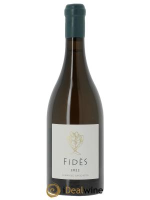 Savennières Fidès Eric Morgat