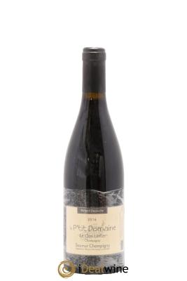 Saumur-Champigny Le Clos Lintier Le P'tit Domaine