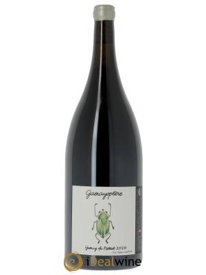 Coteaux Bourguignons Gamayoptère Antoine Lienhardt