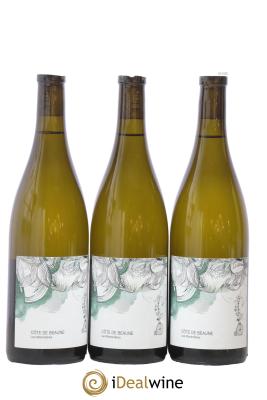 Côte de Beaune Les Monsnières Les Horées