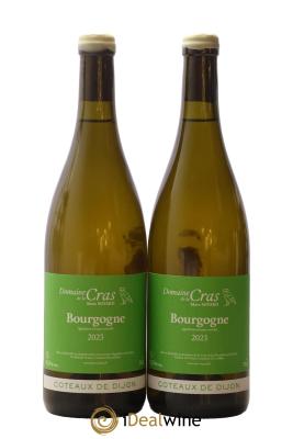 Bourgogne Côteaux de Dijon Domaine de la Cras - Marc Soyard