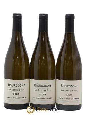 Bourgogne Les Belles Côtes Pierre Boisson (Domaine)
