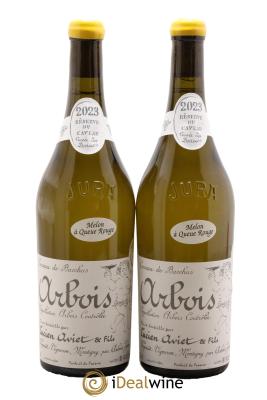 Arbois Melon à Queue Rouge Cuvée des Docteurs Lucien Aviet (Domaine)