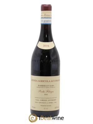 Barbera d'Alba DOC Pochi Filagn Lorenzo Accomasso