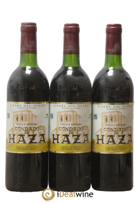 Espagne Ribera Del Duero Concado De Haza