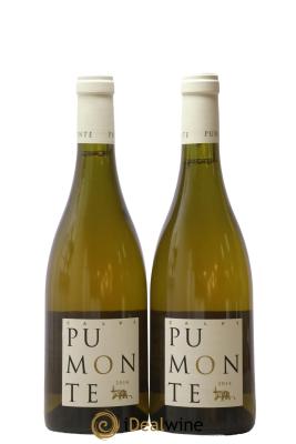 Vin de Corse Calvi Pumonte Domaine Alzipratu